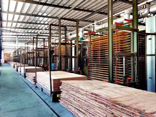 啟陽新材料榮獲貴港首家全國工業(yè)產(chǎn)品生產(chǎn)許可證企業(yè)