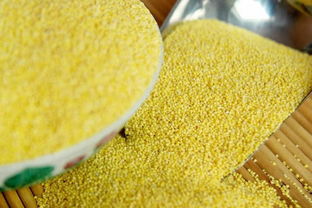 濟南十大特產推薦 值得購買的精選伴手禮